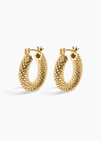 Electric Picks Presley Hoops